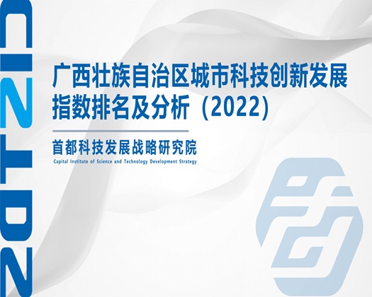 日屄趣味【成果发布】广西壮族自治区城市科技创新发展指数排名及分析（2022）